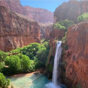 Meet your Posher, Melva